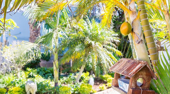 "THE STUDIO" at Brighton Manor