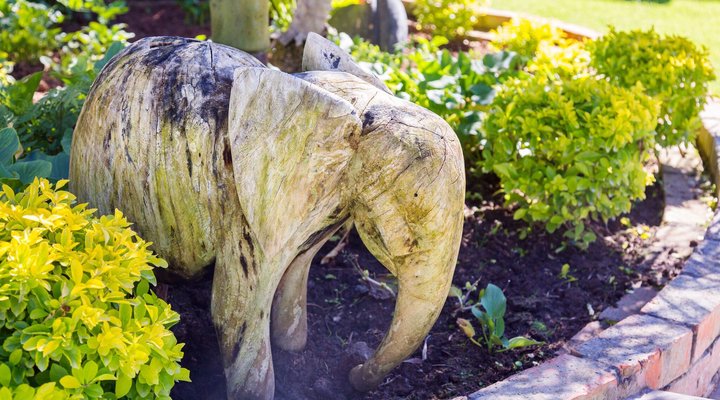 "THE STUDIO" at Brighton Manor