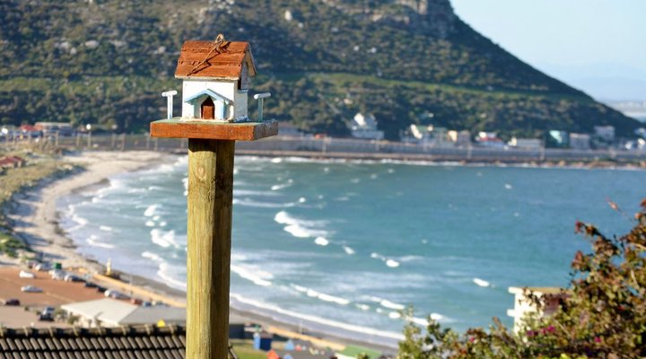 An esCape in the Cape with stupendous views