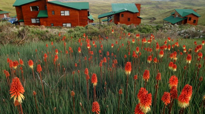 Tiffindell Ski and Alpine Resort