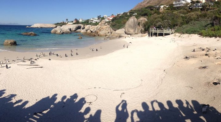 An esCape in the Cape with stupendous views