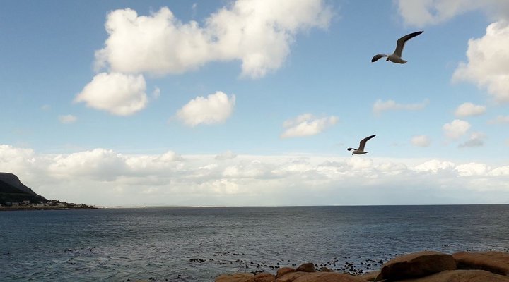 An esCape in the Cape with stupendous views