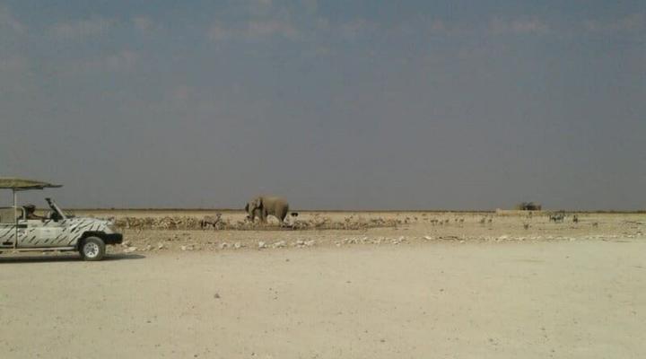 The Best of Namibia Part 2