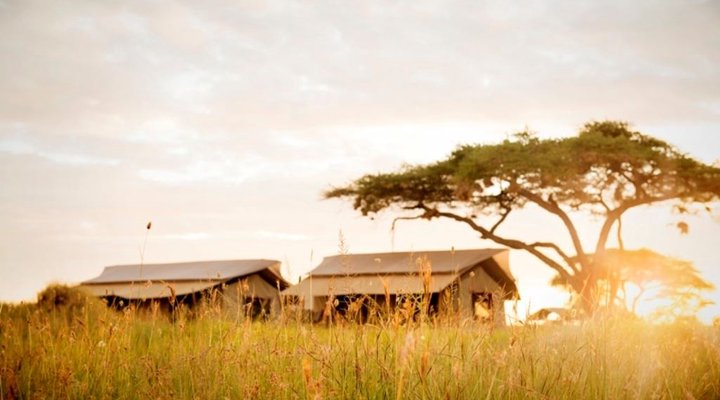 Siringit Serengeti Camp