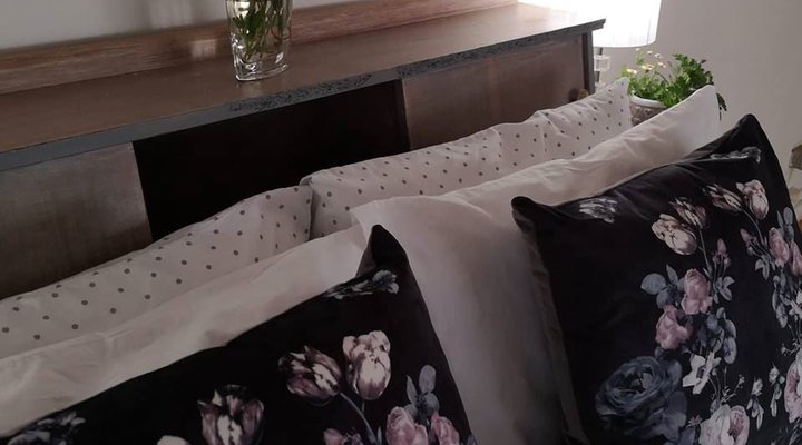Blou Porselein Guest Farm