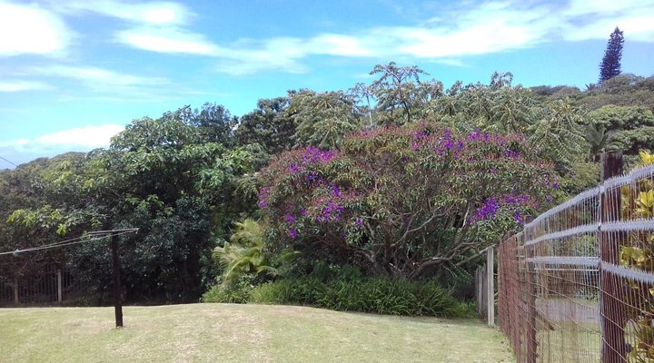 Just Another Brick in the Wall