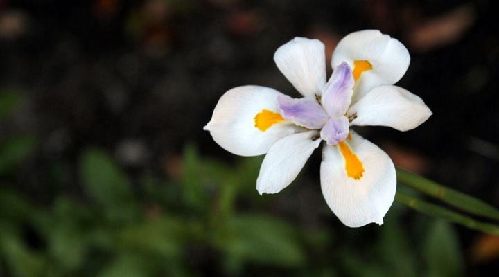 Weltevrede Akkommodasie