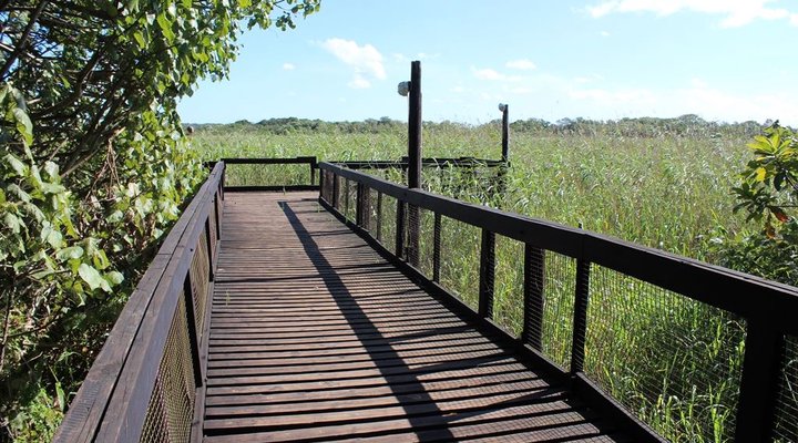 29 The Bridge