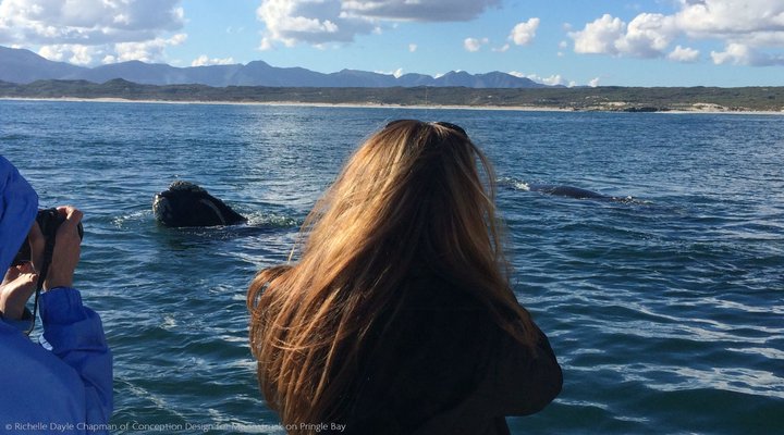 Moonstruck on Pringle Bay