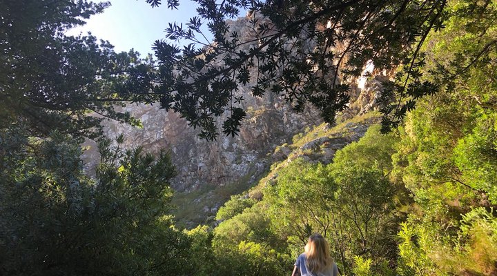 Moonstruck on Pringle Bay