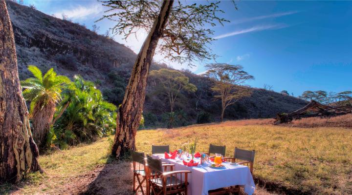 Lewa Safari Camp