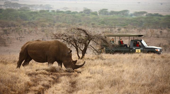Lewa Safari Camp