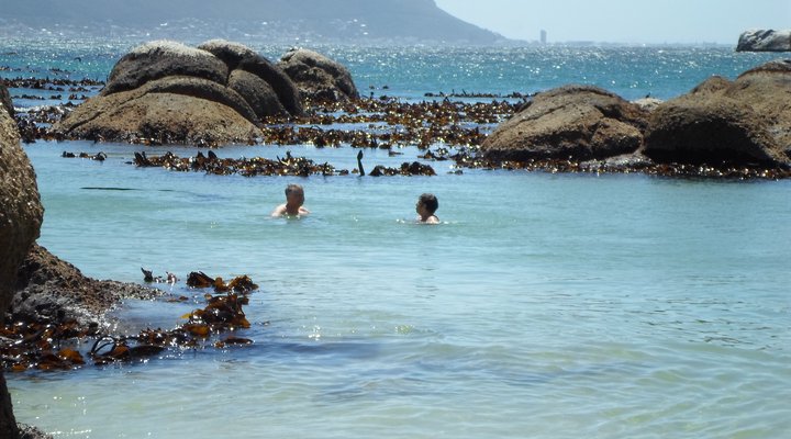 Lighthouse Apartments