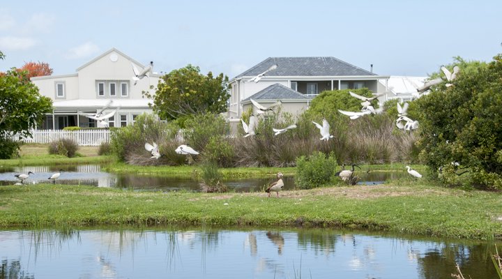 Parklands