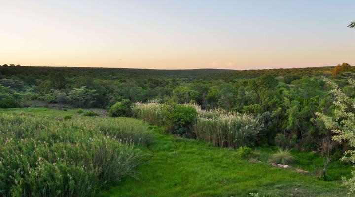 Qabe Private Safaris