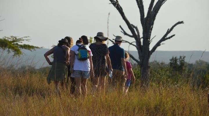 Wami River Bush Retreat (Kisampa)