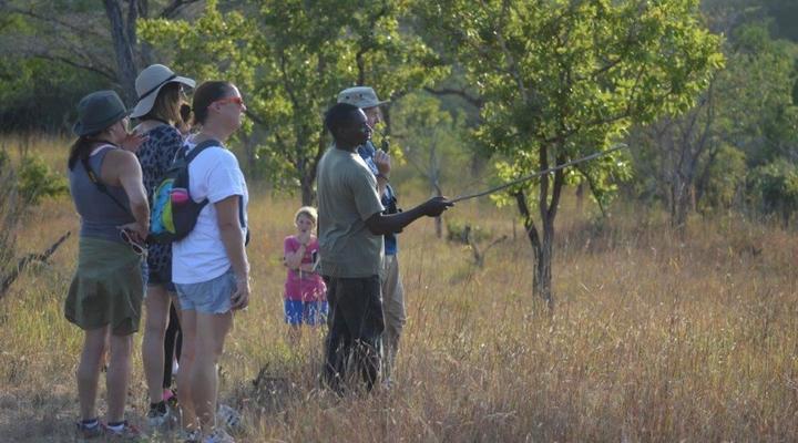 Wami River Bush Retreat (Kisampa)