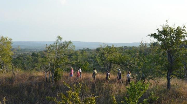 Wami River Bush Retreat (Kisampa)
