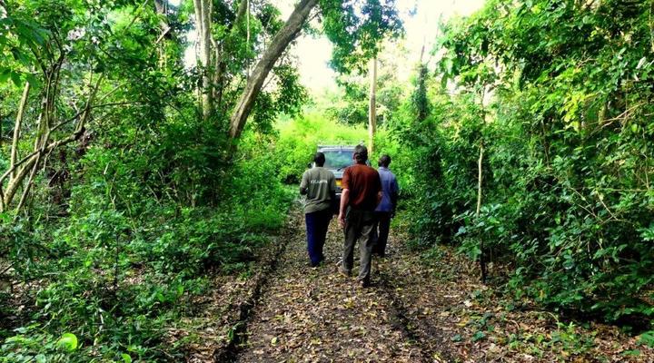 Wami River Bush Retreat (Kisampa)