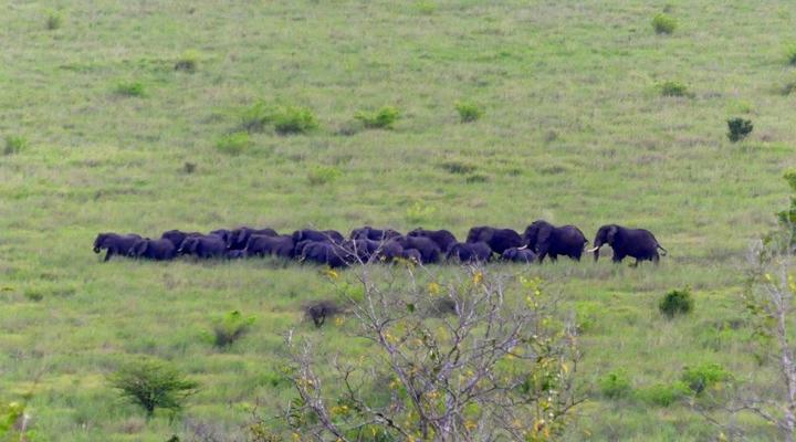 Wami River Bush Retreat (Kisampa)