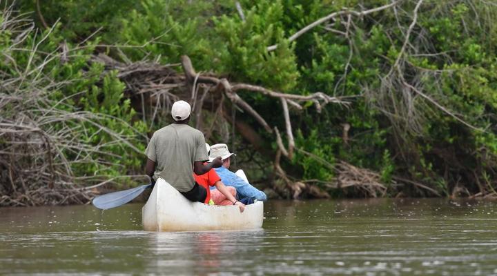 Wami River Bush Retreat (Kisampa)