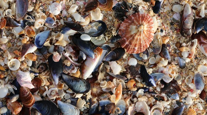 @Audre's Self-catering and Bed and Breakfast