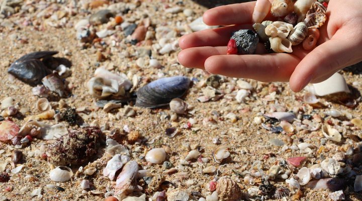 @Audre's Self-catering and Bed and Breakfast