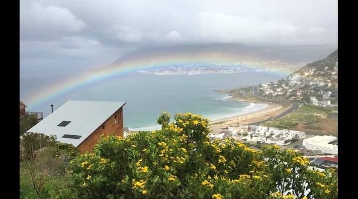 The Wedge