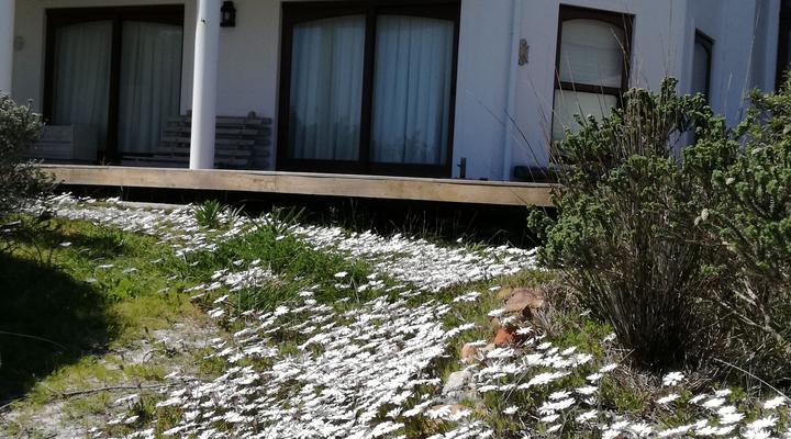 Sea Haven Beach Villa