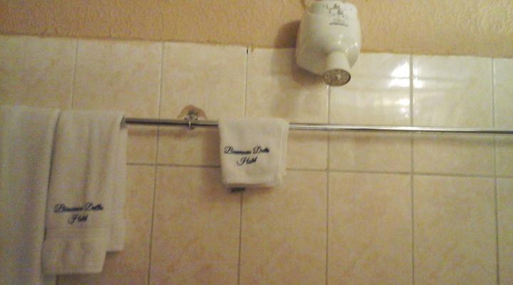 Bienvenue Delta hotel