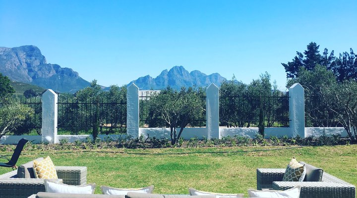 Gooding's Groves Olive Farm B&B