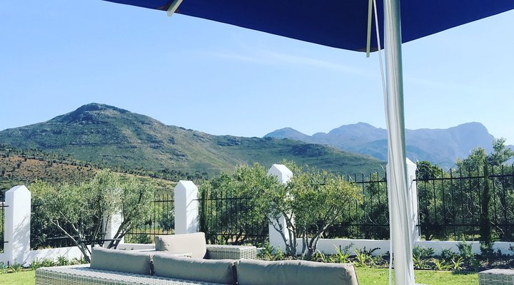 Gooding's Groves Olive Farm B&B