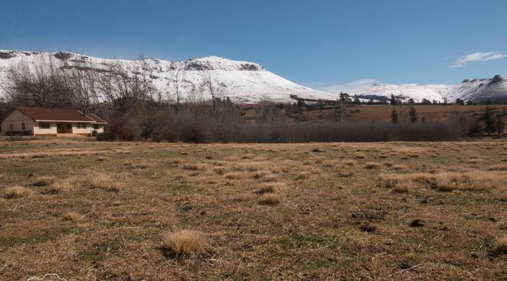 Lowestoffe Country Lodge - Rockford Lodge
