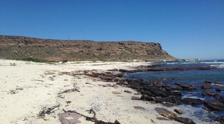 A Little Piece of Heaven