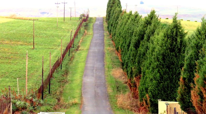 Wellstead House Gratitude Farm