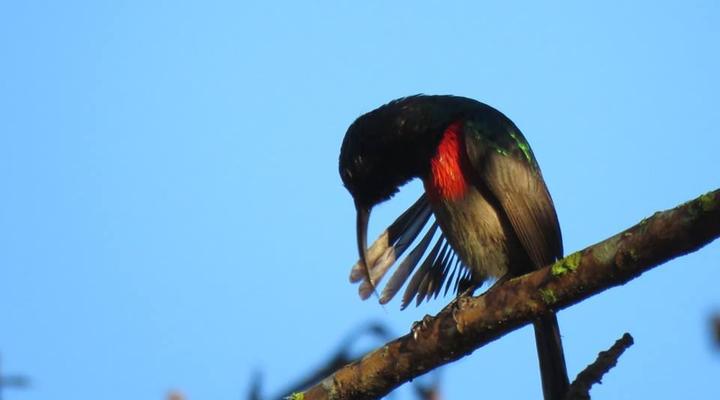Bergrivier Chalets Eastern Cape