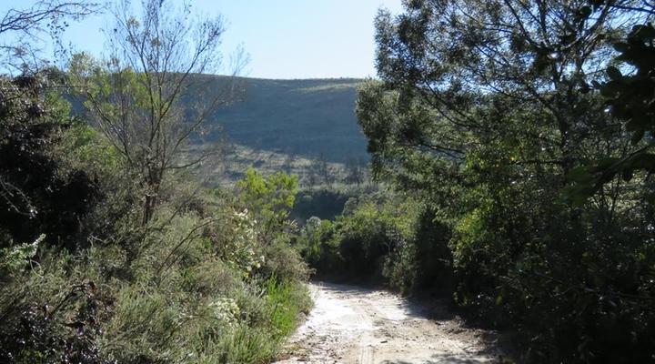 Bergrivier Chalets Eastern Cape