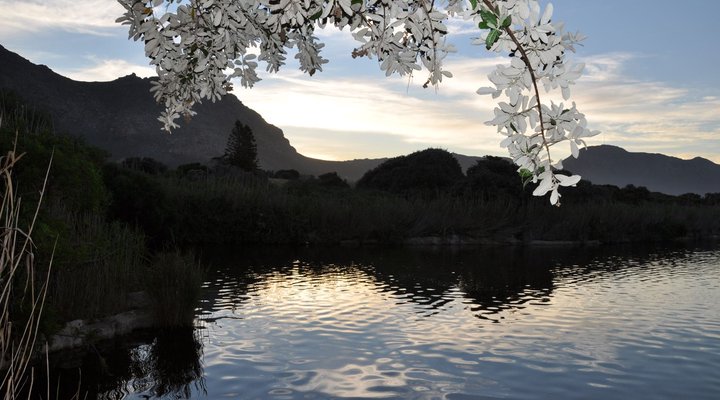 Tranquil Waters on the Marina da Gama