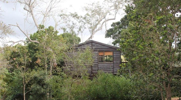 Treehouse Cottage
