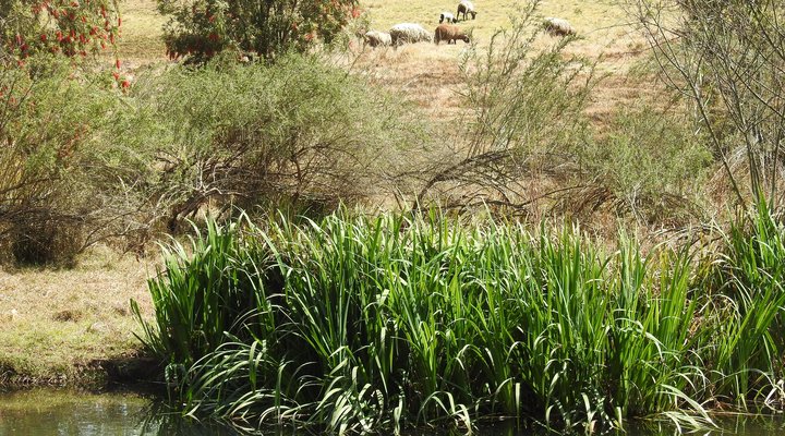 River's Edge in Sabie