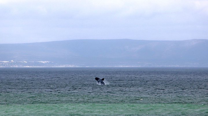 106 Hermanus Beach Club 