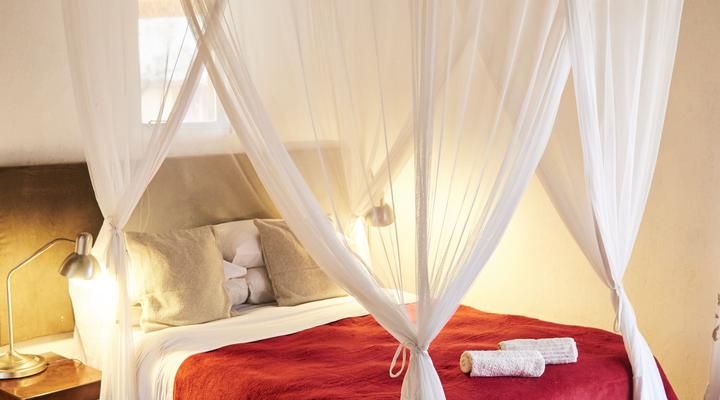  Stevensford Game Reserve