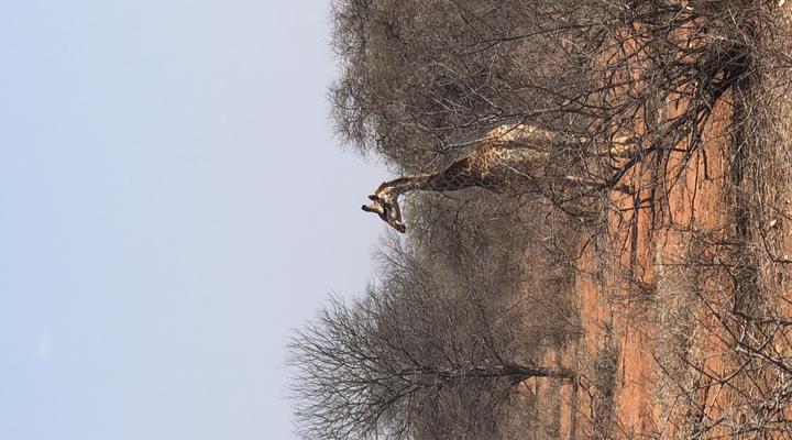  Stevensford Game Reserve
