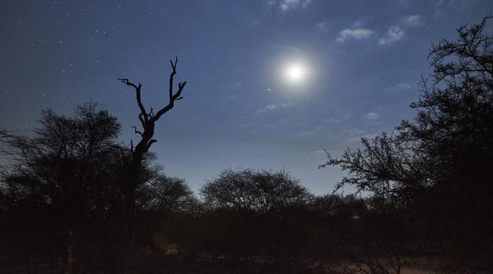  Stevensford Game Reserve