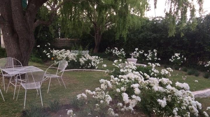 Zonnenstrahl Guest House