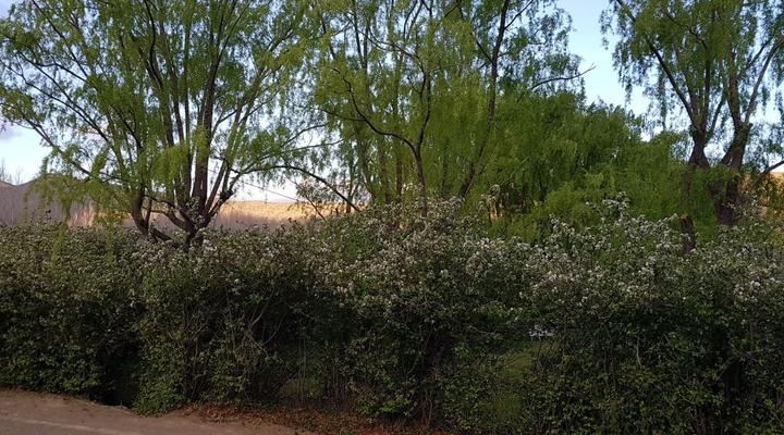 Zonnenstrahl Camping Ground