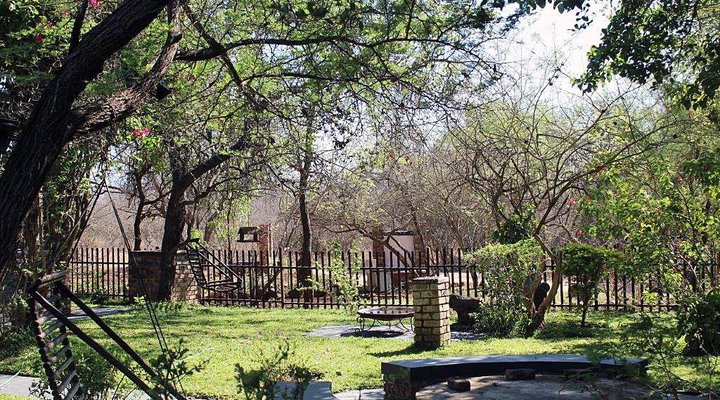 4294 Impala Marloth Park 