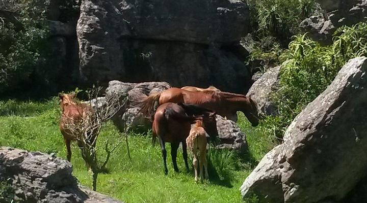 Kattekwaad Accommodation