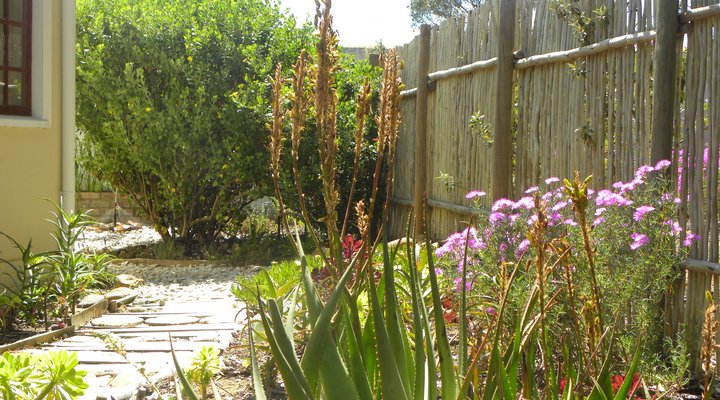 Aloe Cottage