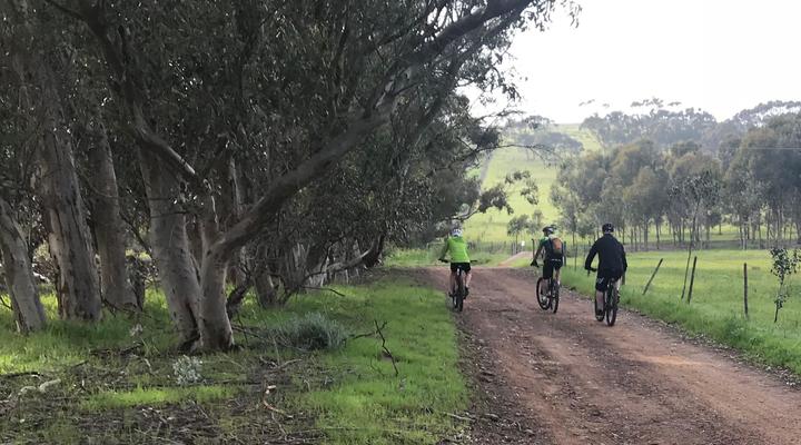 5 Day Winelands Mountain Biking Experience